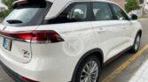 Changan-Oshan-X7-FutureSense-2023-back-right
